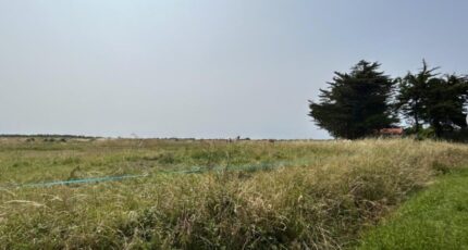 Villeneuve-en-Retz Terrain à bâtir - 2281126-11110annonce2202509233EPx1.jpeg Maisons Tradilignes