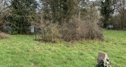 Rouans Maison neuve - 2306573-11110annonce220251015RePBc.jpeg Maisons Tradilignes