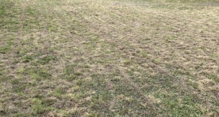 Chaumes-en-Retz Maison neuve - 2338246-11110annonce220251114tIFtx.jpeg Maisons Tradilignes