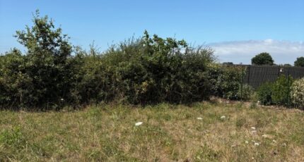 Saint-Michel-Chef-Chef Maison neuve - 2344130-11110annonce220251120RwzPi.jpeg Maisons Tradilignes