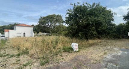 La Bernerie-en-Retz Maison neuve - 2345155-11110annonce220251121OxGdZ.jpeg Maisons Tradilignes