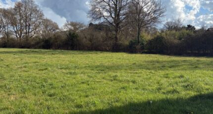 Chaumes-en-Retz Maison neuve - 2264105-11110annonce4202509084tFrA.jpeg Maisons Tradilignes