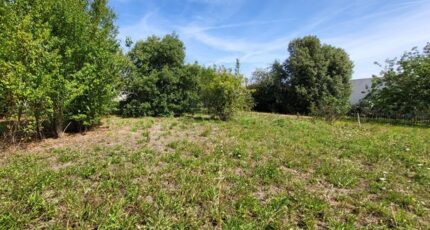 Pornic Maison neuve - 2291672-11110annonce220251002ImILv.jpeg Maisons Tradilignes