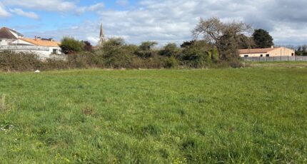 Villeneuve-en-Retz Maison neuve - 2259191-11110annonce220250903DtkEa.jpeg Maisons Tradilignes