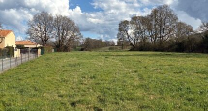 Chaumes-en-Retz Maison neuve - 2296123-11110annonce220251007PxGI1.jpeg Maisons Tradilignes