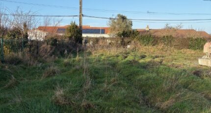 Saint-Michel-Chef-Chef Maison neuve - 2344133-11110annonce120260105JTOoT.jpeg Maisons Tradilignes