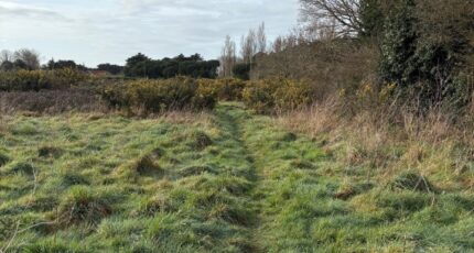 Pornic Maison neuve - 2349728-11110annonce2202511266kEDv.jpeg Maisons Tradilignes