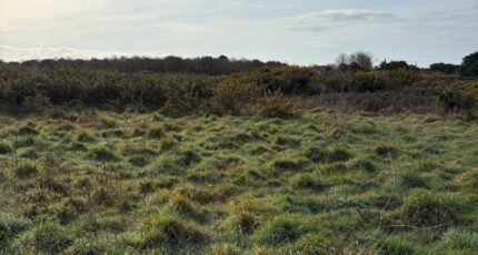 Pornic Maison neuve - 2349728-11110annonce320251126u6qtT.jpeg Maisons Tradilignes