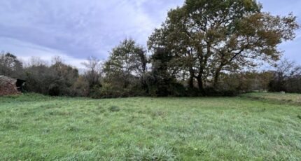 Chaumes-en-Retz Maison neuve - 2352440-11110annonce220251128HgJ7T.jpeg Maisons Tradilignes