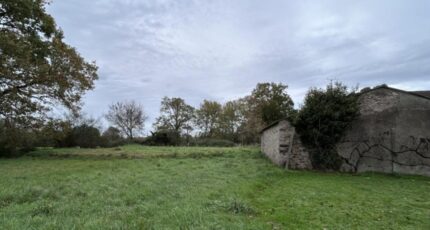 Chaumes-en-Retz Maison neuve - 2352440-11110annonce120260107MgHHI.jpeg Maisons Tradilignes