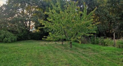 Pornic Maison neuve - 2324473-11110annonce120260105f6ozx.jpeg Maisons Tradilignes