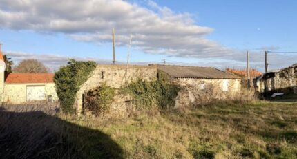 La Plaine-sur-Mer Terrain à bâtir - 2383940-11110annonce320260107kczBH.jpeg Maisons Tradilignes