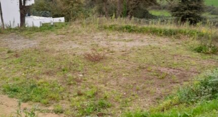 Rouans Maison neuve - 2314087-11110annonce220251022lkckk.jpeg Maisons Tradilignes