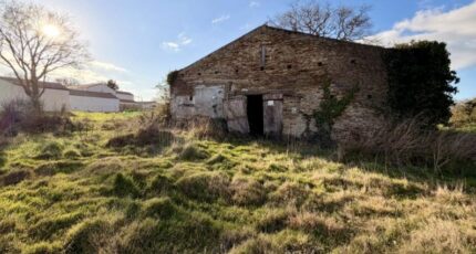 La Plaine-sur-Mer Maison neuve - 2383992-11110annonce220260107JQXKs.jpeg Maisons Tradilignes