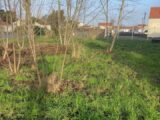 Terrain à bâtir à La Plaine-sur-Mer (44770) 2390955-11110annonce320260113Jr25G.jpeg Maisons Tradilignes