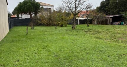 Sainte-Pazanne Maison neuve - 2389542-11110annonce220260112HdUQ6.jpeg Maisons Tradilignes