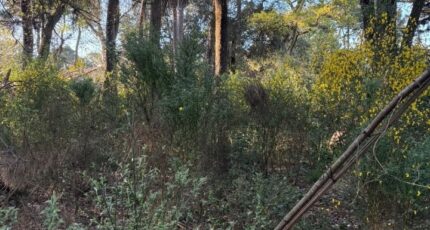 Saint-Brevin-les-Pins Maison neuve - 2304827-11110annonce220260112OyQS3.jpeg Maisons Tradilignes