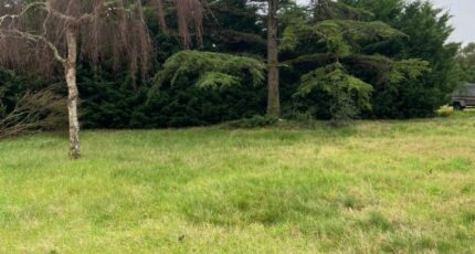 Chaumes-en-Retz Maison neuve - 2333930-11110annonce120260112GCe2D.jpeg Maisons Tradilignes