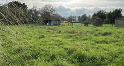 Rouans Maison neuve - 2304398-11110annonce120260112rZlCE.jpeg Maisons Tradilignes