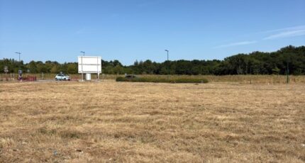 Bouaye Maison neuve - 2394127-11110annonce220260115Oirr5.jpeg Maisons Tradilignes