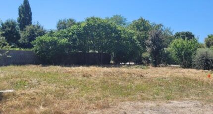 Chaumes-en-Retz Maison neuve - 2338254-11110annonce120251216CGZTG.jpeg Maisons Tradilignes