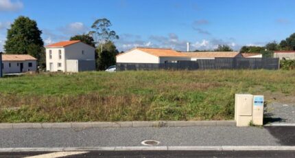 Saint-Père-en-Retz Maison neuve - 2337276-11110annonce120260114vrSMG.jpeg Maisons Tradilignes