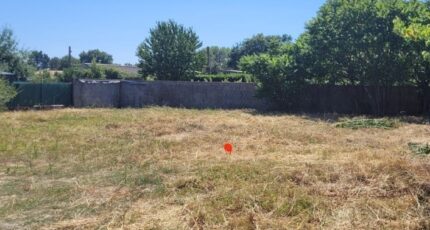 Chaumes-en-Retz Maison neuve - 2338246-11110annonce220251216ruBnt.jpeg Maisons Tradilignes