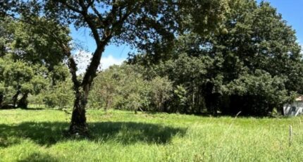 Pornic Maison neuve - 2401498-11110annonce320260122ws9Ey.jpeg Maisons Tradilignes