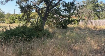 Villeneuve-en-Retz Terrain à bâtir - 2406276-11110annonce320260126O6D41.jpeg Maisons Tradilignes