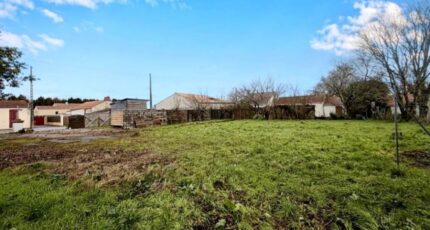 Pornic Maison neuve - 2404595-11110annonce320260123mnKEK.jpeg Maisons Tradilignes