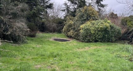 Cheix-en-Retz Maison neuve - 2437253-11110annonce320260223IJcPv.jpeg Maisons Tradilignes