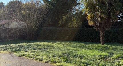 La Bernerie-en-Retz Maison neuve - 2439463-11110annonce420260224Kg5hW.jpeg Maisons Tradilignes