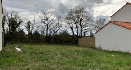 Saint-Père-en-Retz Maison neuve - 2360489-11110annonce220260107Oq13u.jpeg Maisons Tradilignes