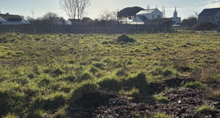 Saint-Mars-de-Coutais Maison neuve - 2417007-11110annonce220260203te7gx.jpeg Maisons Tradilignes