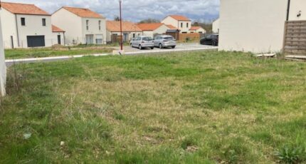 Port-Saint-Père Maison neuve - 2358161-11110annonce120260106okfMk.jpeg Maisons Tradilignes