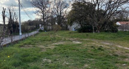 Chauvé Maison neuve - 2385126-11110annonce320260108NnOob.jpeg Maisons Tradilignes