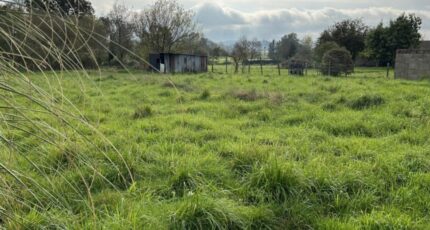 Rouans Maison neuve - 2422781-11110annonce120260209uOz8v.jpeg Maisons Tradilignes