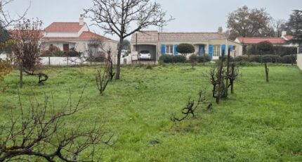 Sainte-Pazanne Maison neuve - 2389712-11110annonce320260112CqueV.jpeg Maisons Tradilignes