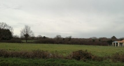 Les Moutiers-en-Retz Maison neuve - 2391205-11110annonce220260113WnBw1.jpeg Maisons Tradilignes