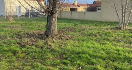 La Plaine-sur-Mer Maison neuve - 2390976-11110annonce2202601135XqQJ.jpeg Maisons Tradilignes