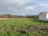 Terrain à bâtir à La Plaine-sur-Mer (44770) 2432299-11110annonce3202602172mpaE.jpeg Maisons Tradilignes