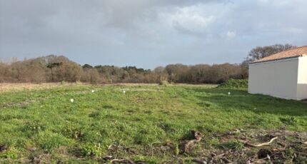 La Plaine-sur-Mer Terrain à bâtir - 2432299-11110annonce3202602172mpaE.jpeg Maisons Tradilignes