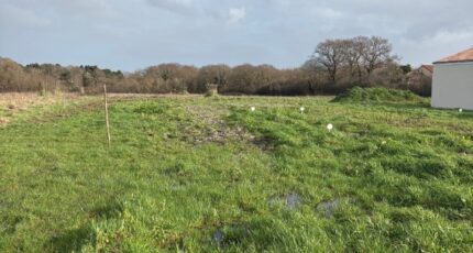 La Plaine-sur-Mer Maison neuve - 2432314-11110annonce12026021760ePS.jpeg Maisons Tradilignes