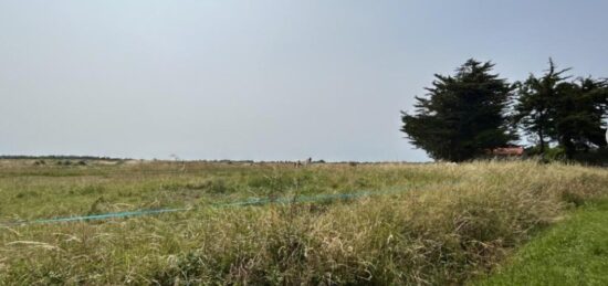 Terrain à bâtir à Villeneuve-en-Retz, Pays de la Loire