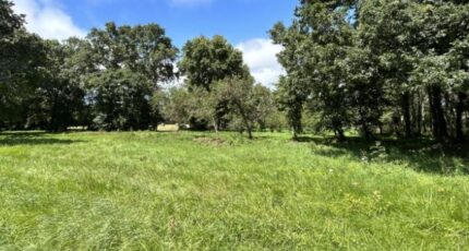 Pornic Maison neuve - 2401498-11110annonce220260122Ru7Ex.jpeg Maisons Tradilignes