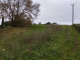 Terrain à bâtir à Port-Saint-Père (44710) 2672874-11870annonce120261012sd5IS.jpeg Maisons Tradilignes